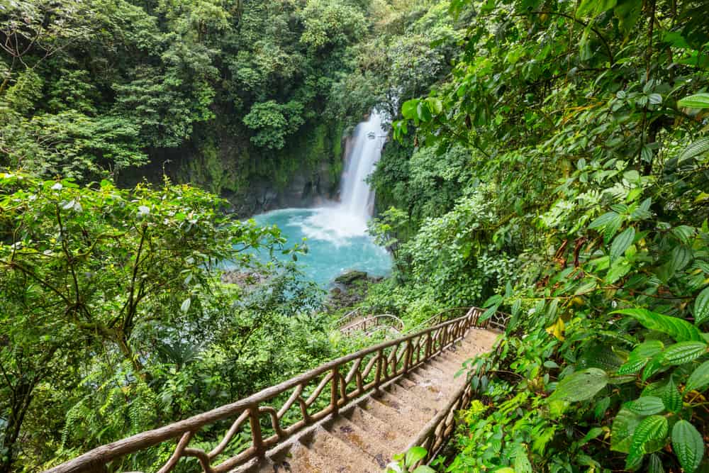Costa Rican Rainforest Trek